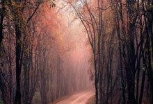 30岁B席达成葡萄牙队100场里程碑:13球28助攻+2019年欧国联冠军.