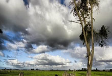 米兰体育:国脚:整个下半场都被沙特带着节奏跑,百密终有一疏.