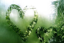 米兰体育：库里缺阵维金斯24分施罗德17+9 勇士力克灰熊.