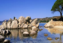 戴维斯补时绝杀 拜仁挤进欧冠16强.